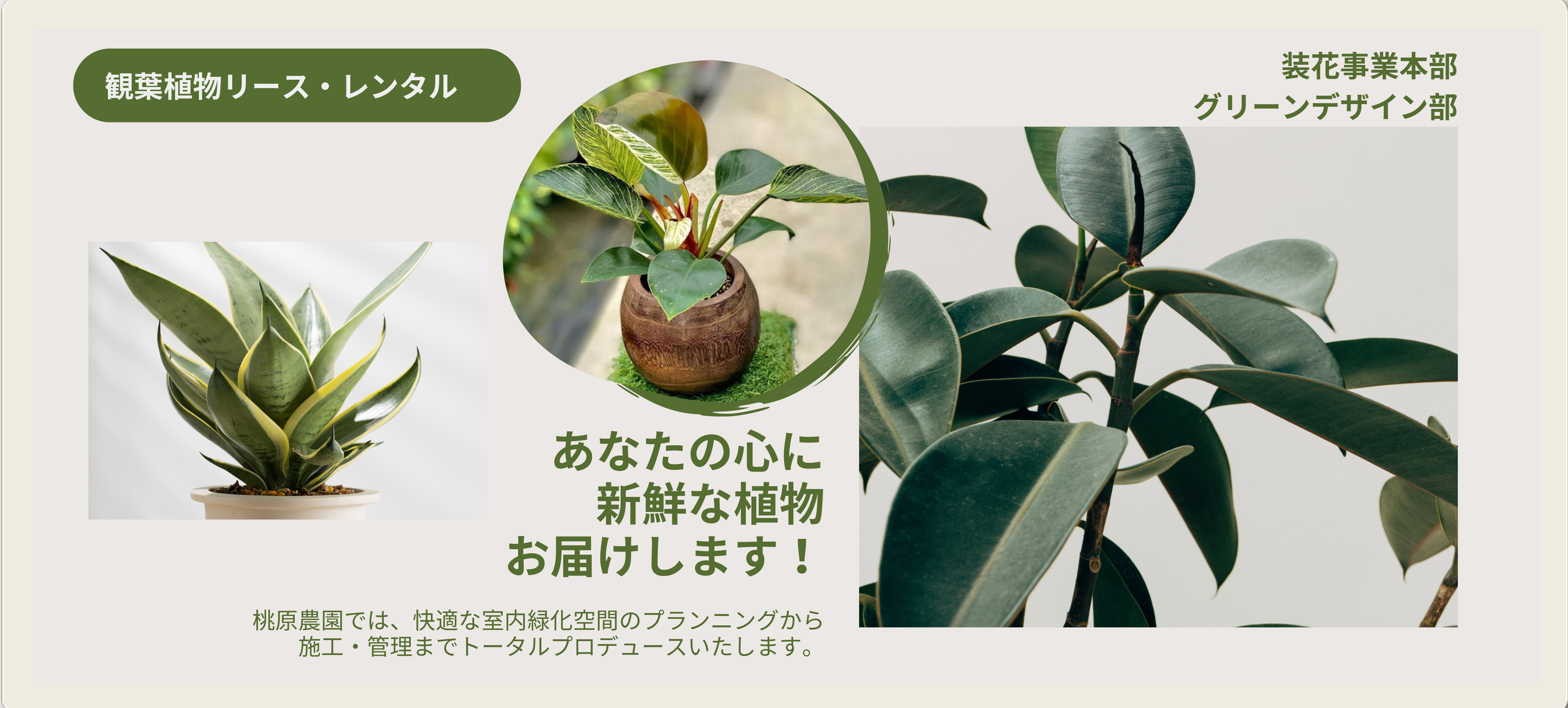 観葉植物リース・レンタル：そこにいるだけで心が癒される。 そんな花や緑があふれる空間を演出します。