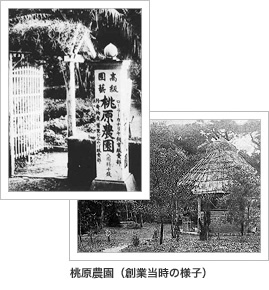 創業当時の桃原農園の様子